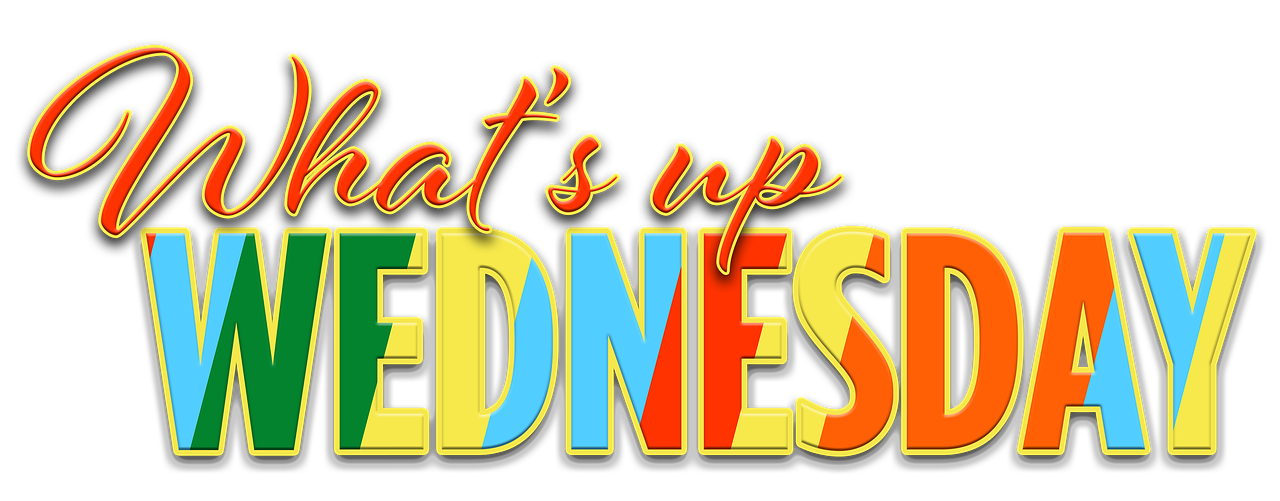 Welcome to Wednesday